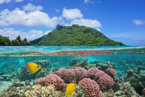 Combiné hôtels 4 îles : Tahiti, Huahine, Bora Bora et Moorea papeete Polynesie Francaise