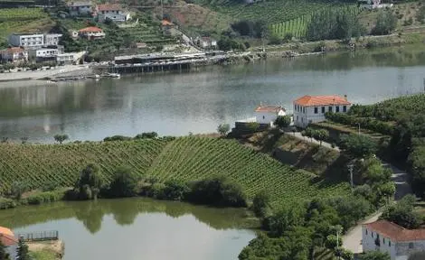 Hôtel Folgosa Douro Hotel lamego PORTUGAL