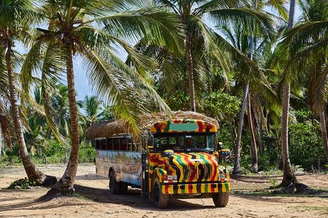 Safari Eco Caribe