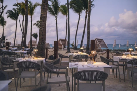 Restaurant - terrasse