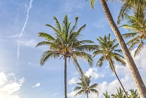 Hôtel Breezes Beach Club bwejuu REPUBLIQUE-UNIE DE TANZANIE