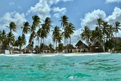 Hôtel Savera Beach Houses jambiani REPUBLIQUE-UNIE DE TANZANIE