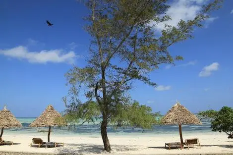 Hôtel Ujamaa Beach Resort Zanzibar makunduchi REPUBLIQUE-UNIE DE TANZANIE