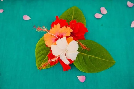 Hôtel Flame Tree Cottages nungwi REPUBLIQUE-UNIE DE TANZANIE