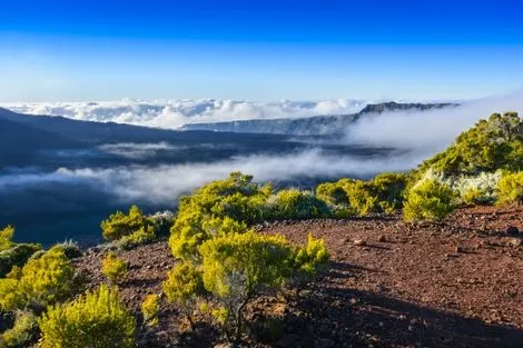 Autotour L'île de la Réunion : entre balade, nature et culture saint_denis Reunion