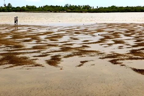 Ile aux coquillages de Fadiouth