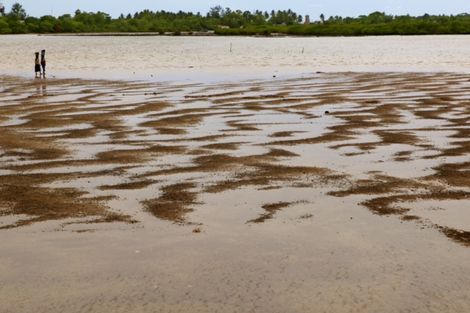 Ile aux coquillages de Fadiouth