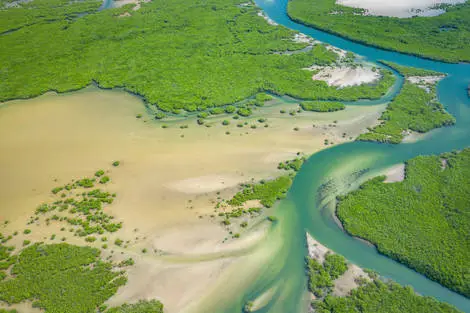 Circuit Sénégal, entre savane et plage du Framissima Palm Beach dakar Senegal