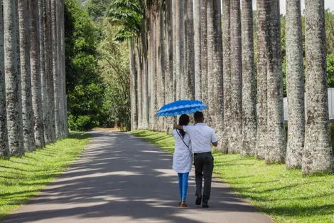 Peradeniya