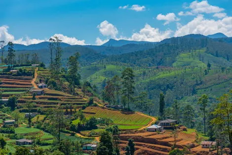 Région de Nuwara Eliya