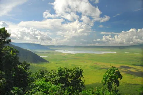 Circuit Safari Privatif Serengeti arusha Tanzanie