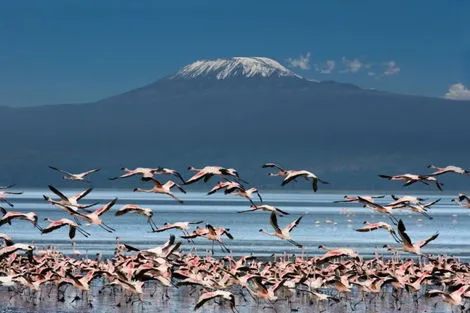 Circuit Couleurs de Tanzanie arusha Tanzanie