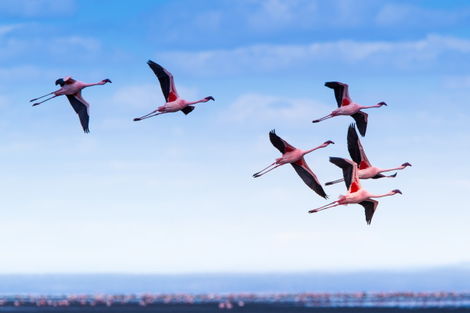 Lac Natron