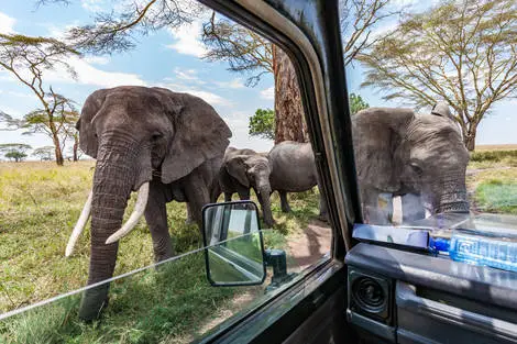 Circuit Safari entre grands parcs et lacs du nord de la Tanzanie kilimanjaro Tanzanie