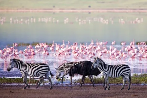 Circuit Couleurs de Tanzanie & Plages de Zanzibar 2025 kilimanjaro Tanzanie