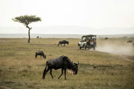 Circuit Safari Magie d'Afrique nairobi Tanzanie