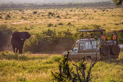 Circuit Safari au Kenya : de Nairobi à Mombasa nairobi Tanzanie