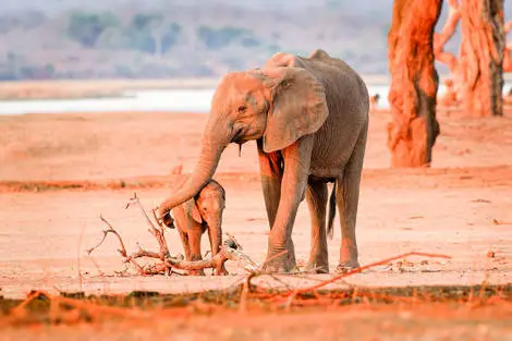 Combiné circuit et hôtel Neptune Pwani Beach Resort & Spa 5* avec 1 nuit au parc de Selous zanzibar Tanzanie