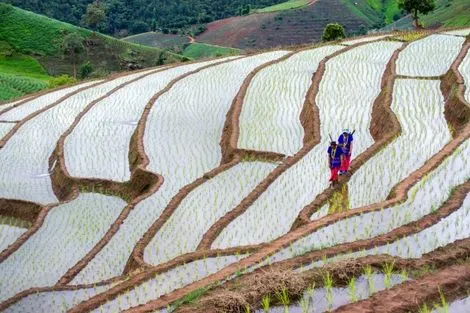 Chiang Mai