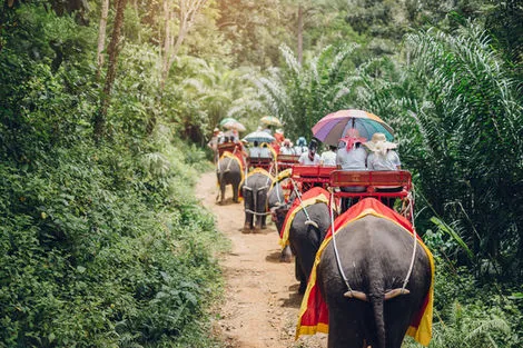 Circuit Saveurs et Couleurs de Thai¨lande bangkok Thailande