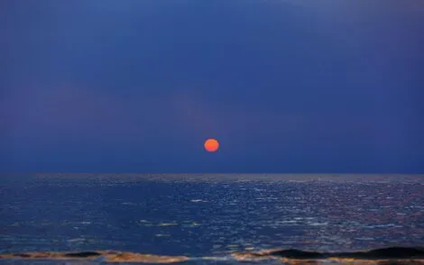 Hôtel Le Shalimar hammamet TUNISIE