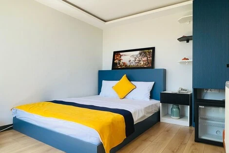 Hôtel Apex Hotel taksim TURQUIE