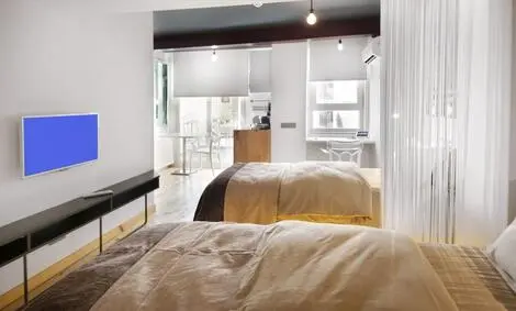Hôtel Nuru Ziya Suites taksim TURQUIE