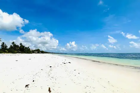 Hôtel Palumbo Mnemba View Resort (vol de jour) matemwe Zanzibar